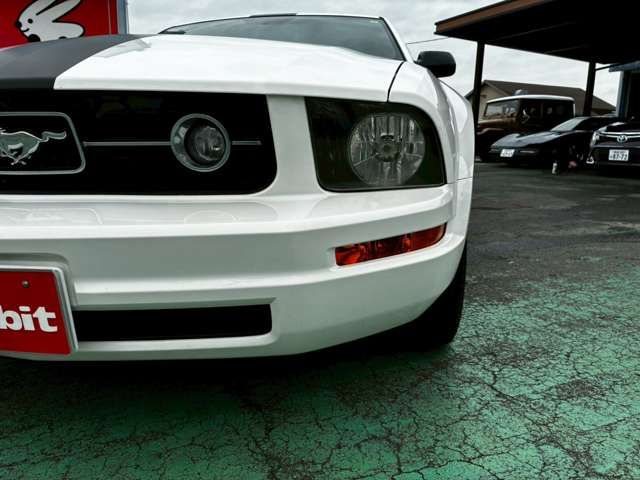 Ford MUSTANG 2008-06 1545245-8