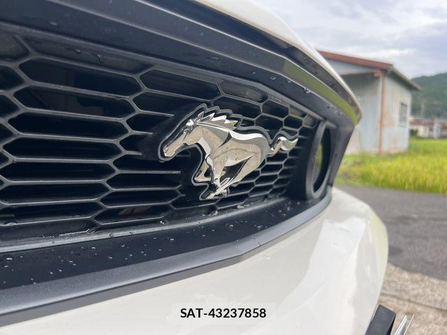 Ford MUSTANG 2011-11 8659149-21