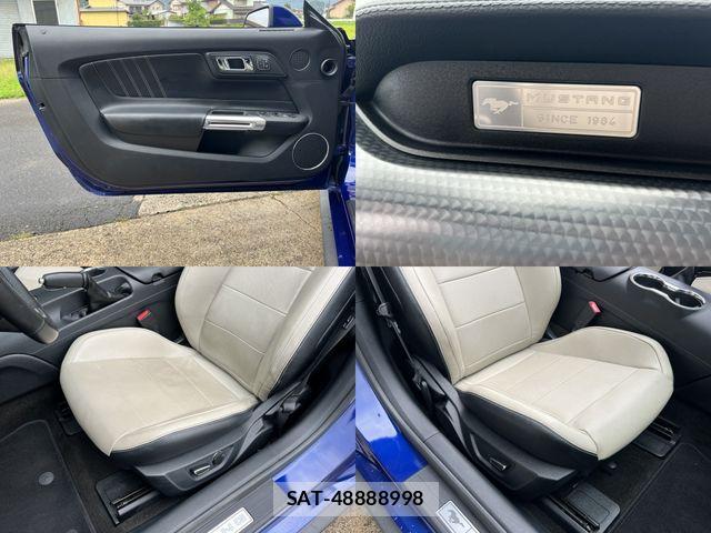 Ford MUSTANG 2018-11 8666156-8