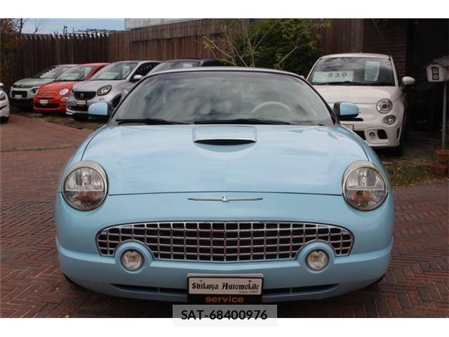 Ford Thunderbird 2004-05 8438136-13