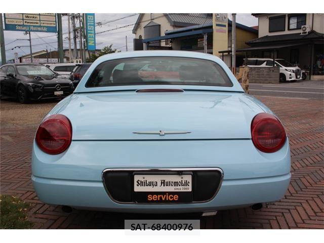 Ford Thunderbird 2004-05 8438136-14