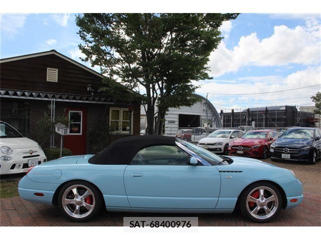 Ford Thunderbird 2004-05 8438136-6