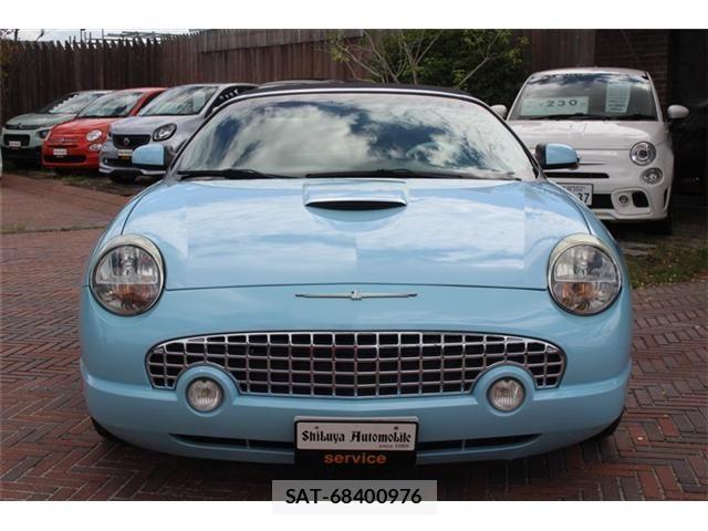 Ford Thunderbird 2004-05 8438136-8