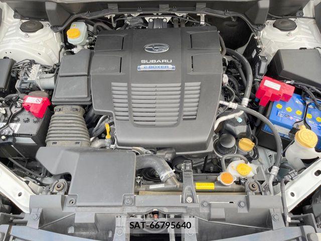 Subaru FORESTER 2019-09 6641598-19