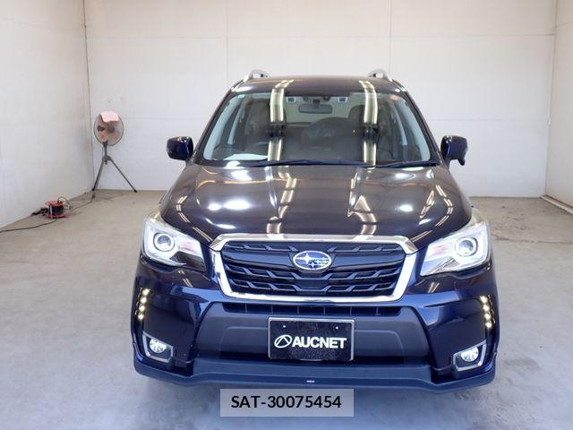 Subaru FORESTER 2017-12 6905257-4
