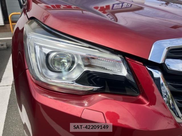 Subaru FORESTER 2017-11 6905324-10