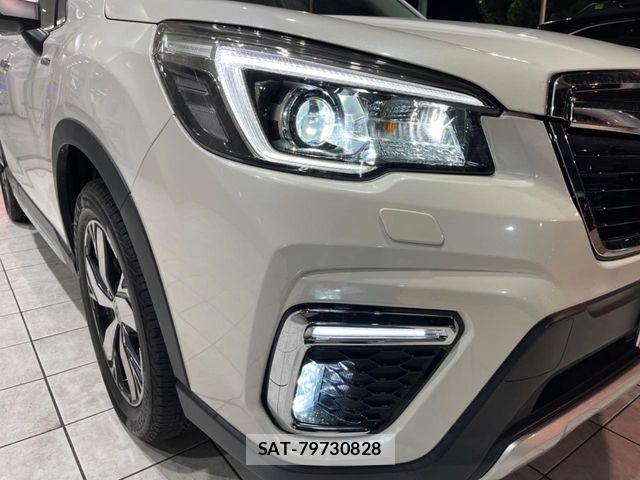 Subaru FORESTER 2019-11 7020496-14