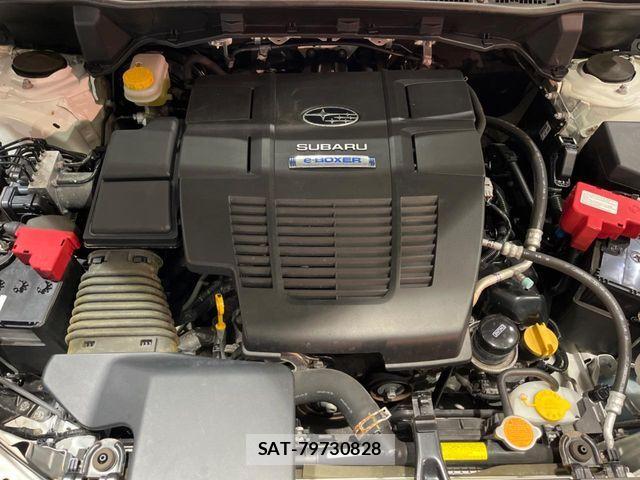 Subaru FORESTER 2019-11 7020496-19