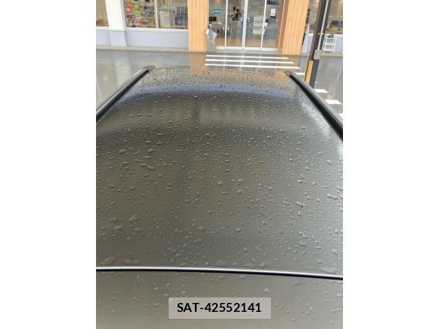 Subaru FORESTER 2007-09 7250860-15
