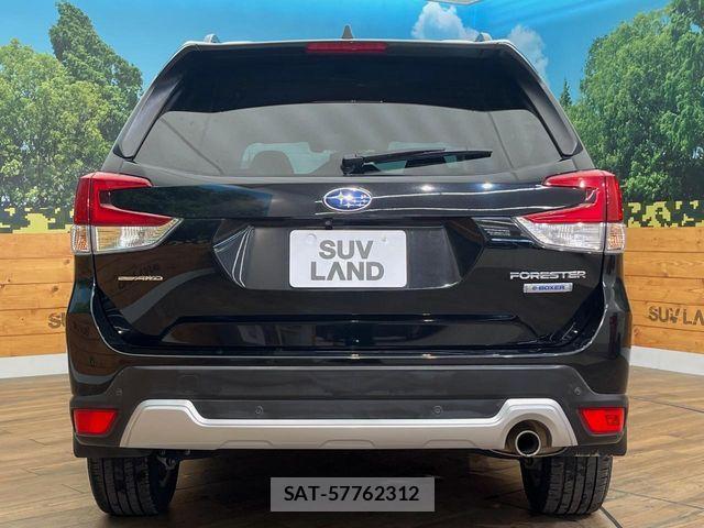 Subaru FORESTER 2019-05 7250838-15