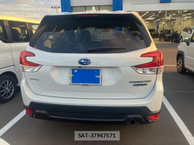 Subaru FORESTER 2022-08 7392189-4