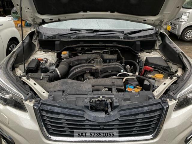 Subaru FORESTER 2019-07 7454397-12