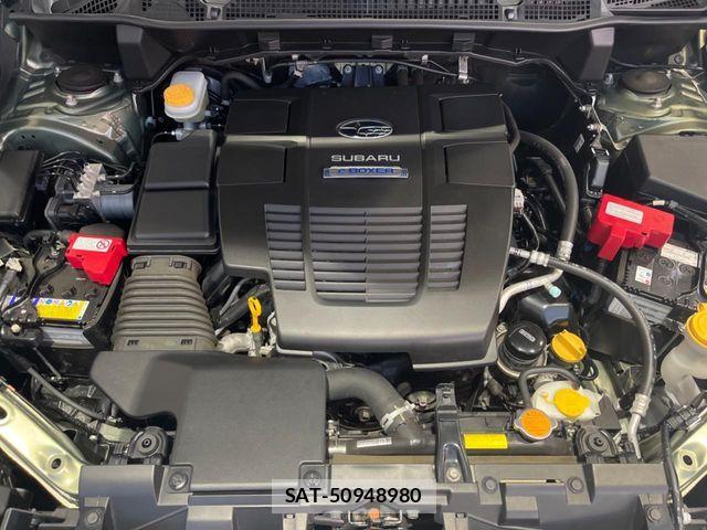 Subaru FORESTER 2019-11 7616637-19