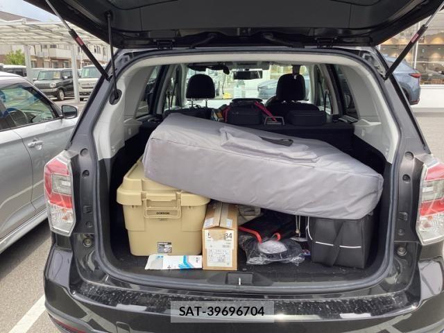 Subaru FORESTER 2016-03 7616669-12