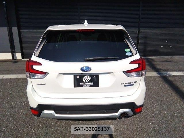 Subaru FORESTER 2020-08 7979255-4