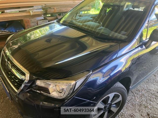 Subaru FORESTER 2018-06 7979265-0