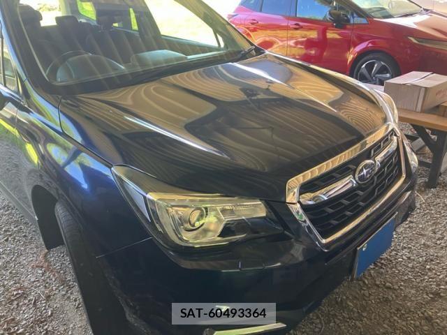 Subaru FORESTER 2018-06 7979265-1