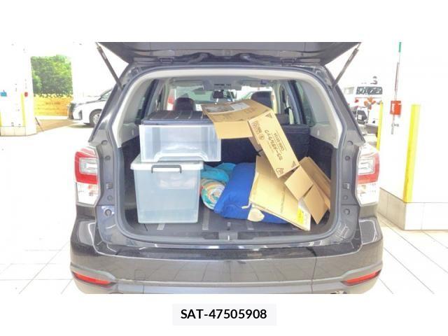 Subaru FORESTER 2017-05 8099233-13