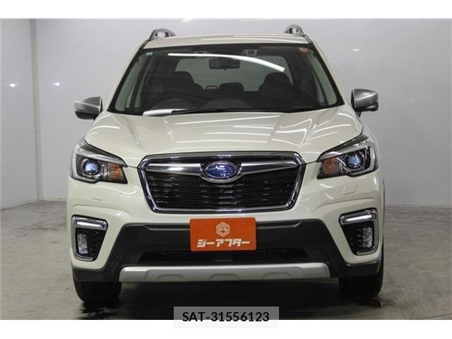 Subaru FORESTER 2018-11 8099219-2