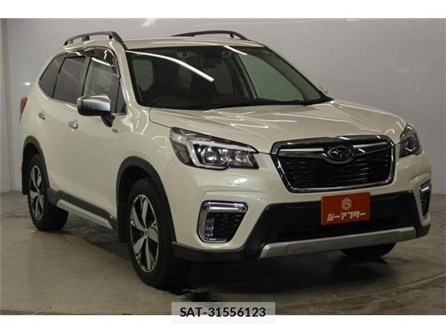 Subaru FORESTER 2018-11 8099219-3