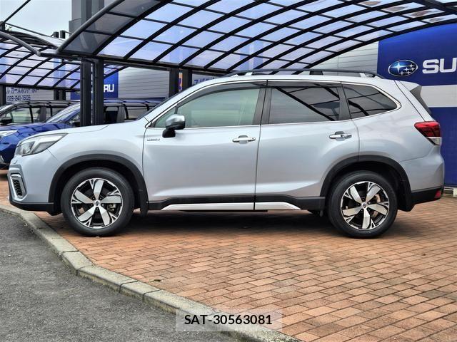 Subaru FORESTER 2019-08 8207563-2