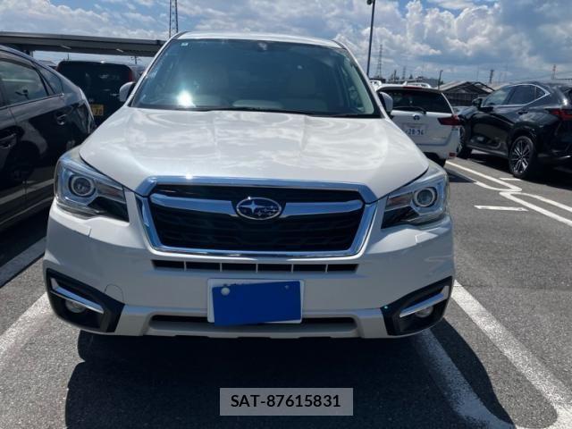 Subaru FORESTER 2018-05 8230073-0