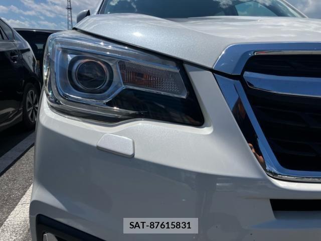 Subaru FORESTER 2018-05 8230073-4