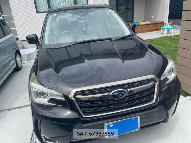 Subaru FORESTER 2018-02 8314526-0