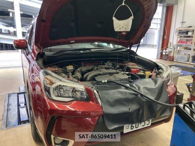 Subaru FORESTER 2015-02 8314525-2