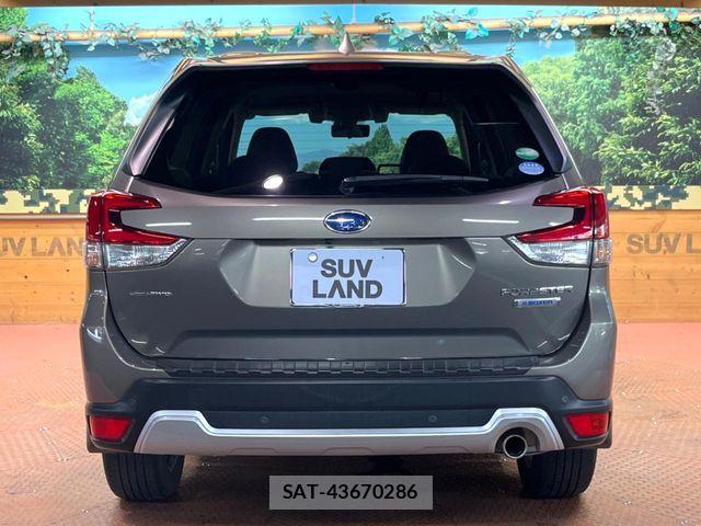 Subaru FORESTER 2019-04 8438138-14