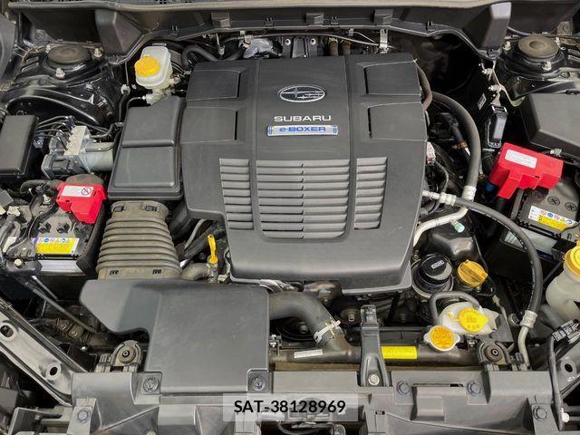 Subaru FORESTER 2018-12 8457507-19