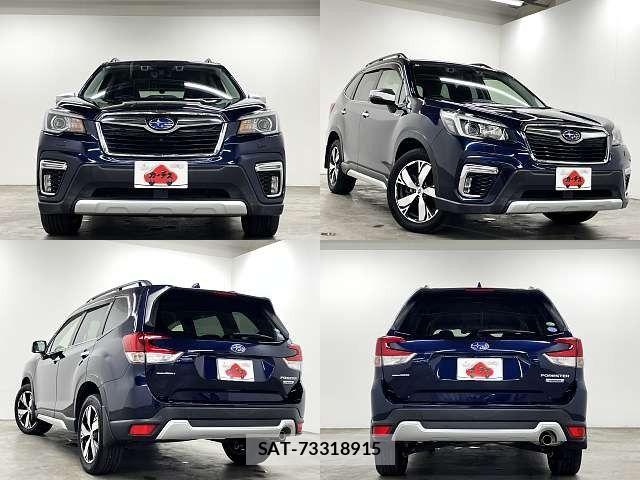 Subaru FORESTER 2019-03 8742229-8