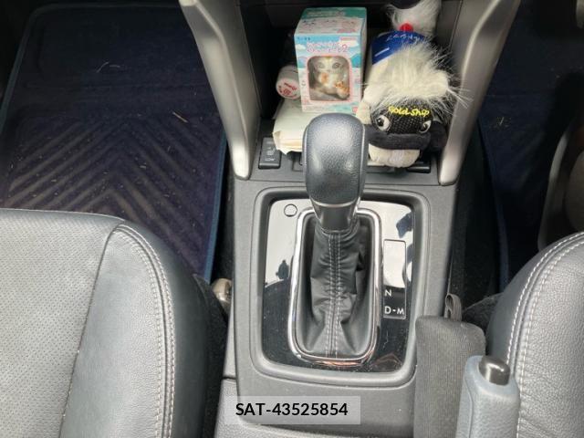 Subaru FORESTER 2013-09 8796007-18