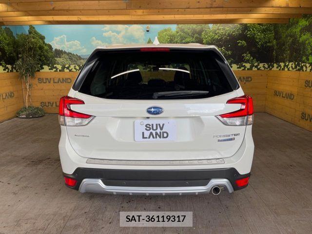Subaru FORESTER 2021-11 8879811-14