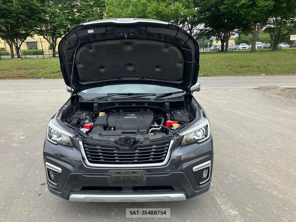 Subaru FORESTER 2019 1045916-43
