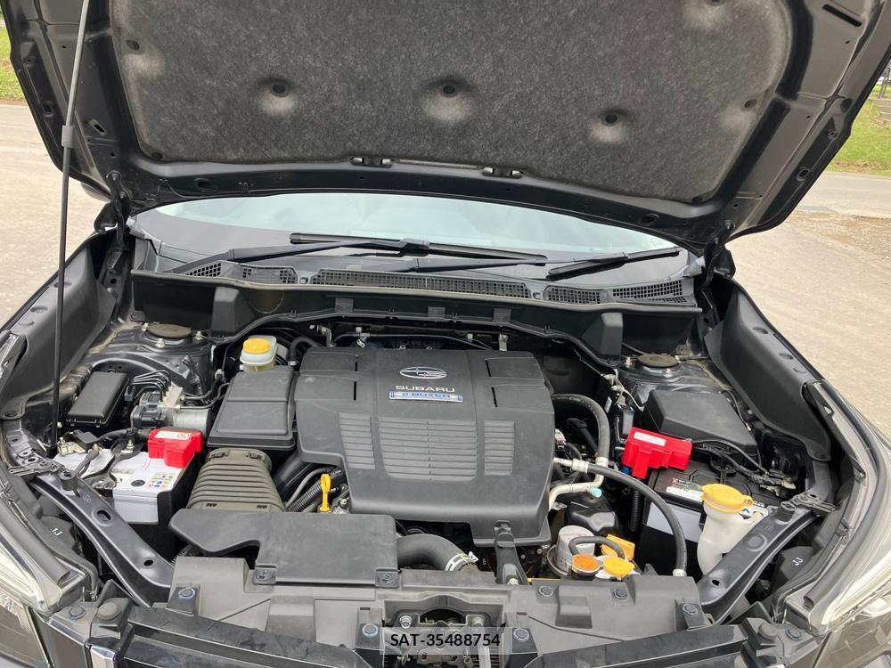 Subaru FORESTER 2019 1045916-44