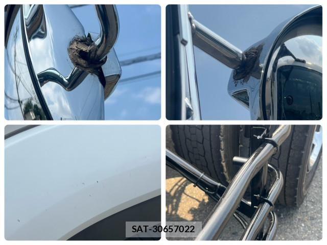 Isuzu FORWARD 2017-03 8230091-21