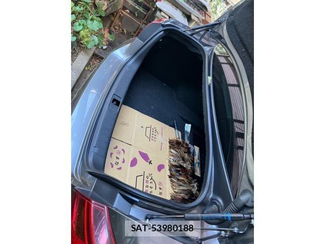 Nissan FUGA 2015-03 2319476-22
