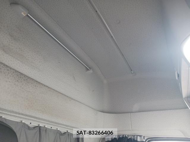 Isuzu GIGA 2021-03 6641624-10