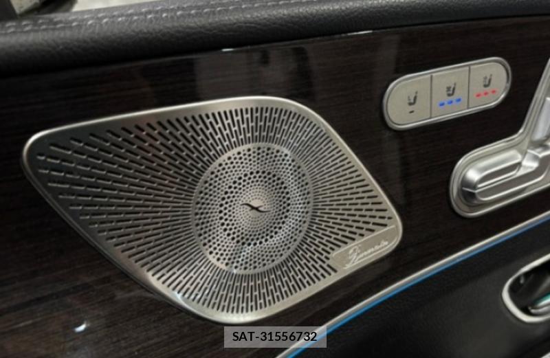 Mercedes Benz GLE-CLASS 2021-05 7792320-7