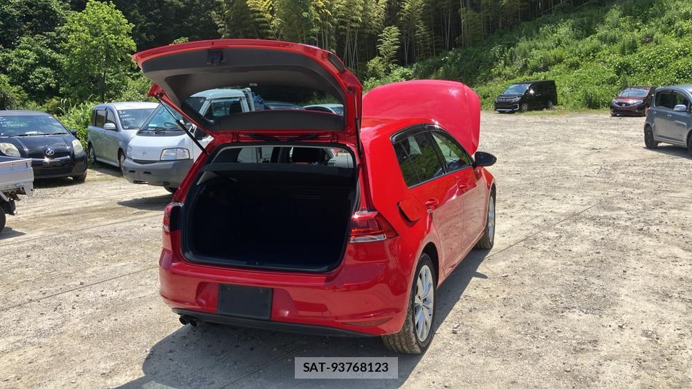 VolksWagen GOLF 2013-08 7191684-4