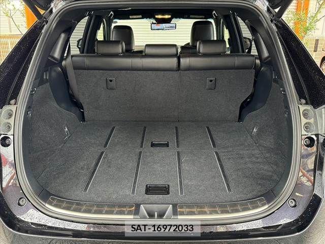 Toyota HARRIER 2017-02 7250955-19
