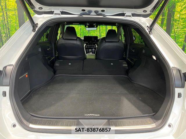 Toyota HARRIER 2023-06 8366161-9