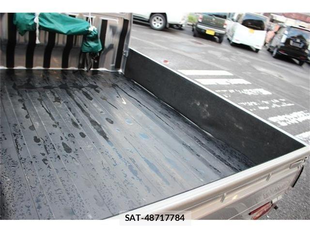 Daihatsu HIJET TRUCK 2019-03 7616986-18