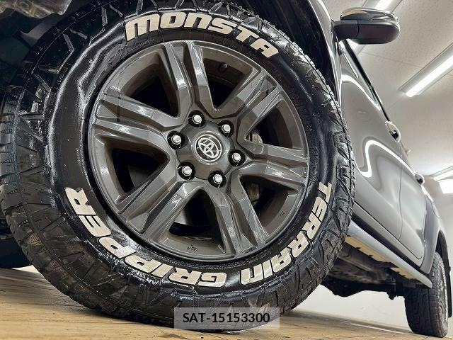 Toyota HILUX 2020-09 7358076-19