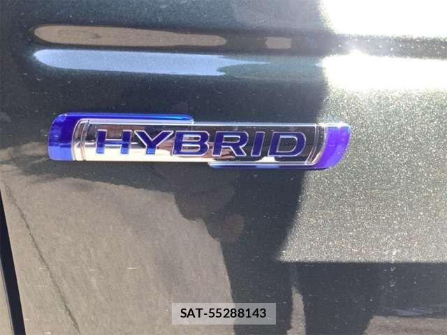 Suzuki HUSTLER 2026-01 6906302-12