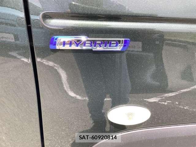 Suzuki HUSTLER 2025-12 6906358-12