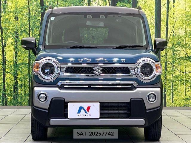 Suzuki HUSTLER 2021-07 7058854-13