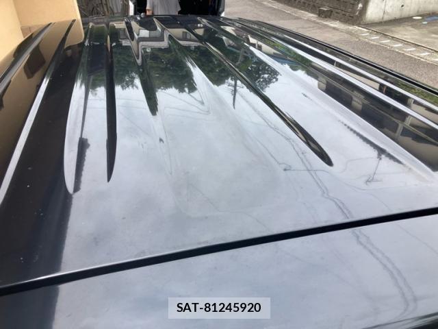 Suzuki HUSTLER 2015-11 7876918-5