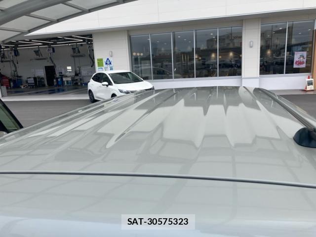 Suzuki HUSTLER 2014-01 7876913-4